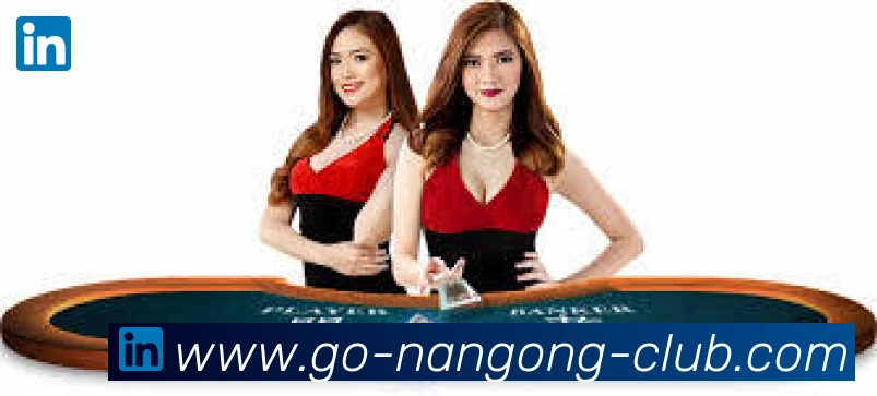 NG体育官网APP 封面图